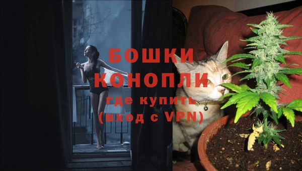 трава Абаза