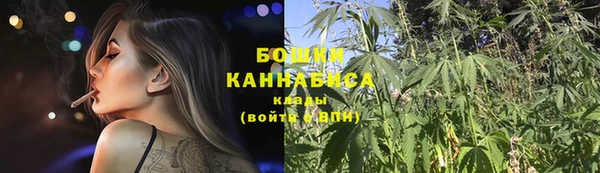трава Абаза