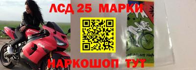 мдпв Заводоуковск