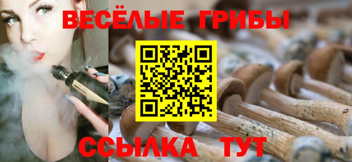 Череповец  Псилоцибиновые грибы Cubensis  Вход с VPN 